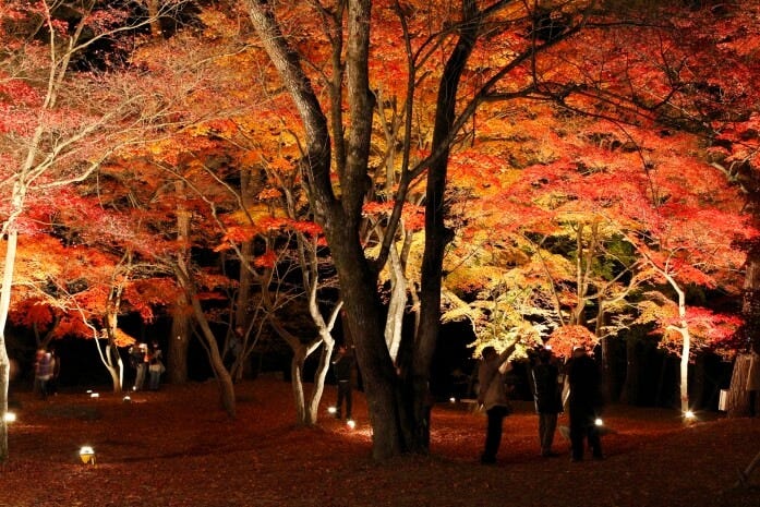 長瀞・月の石もみじ公園の紅葉