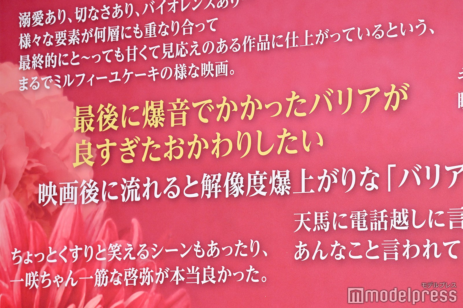 （C）モデルプレス