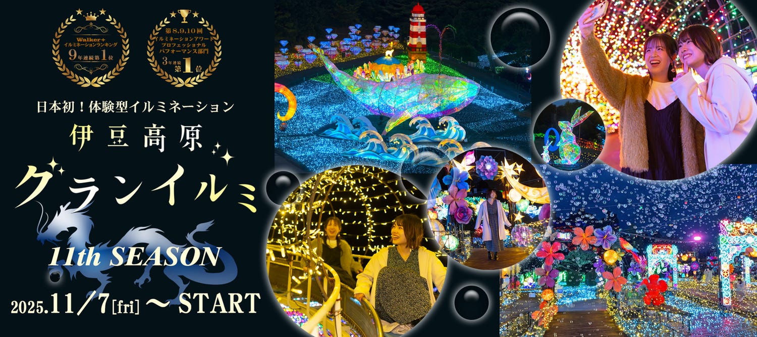 伊豆ぐらんぱる公園で体験型イルミネーション、11月7日から “龍の大冒険”コンセプトに新たな演出