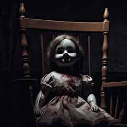 ※画像はイメージ/提供画像