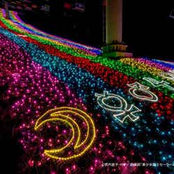 美少女戦士セーラームーン イルミネーション(C)武内直子・PNP/劇場版「美少女戦士セーラームーンEternal」製作委員会