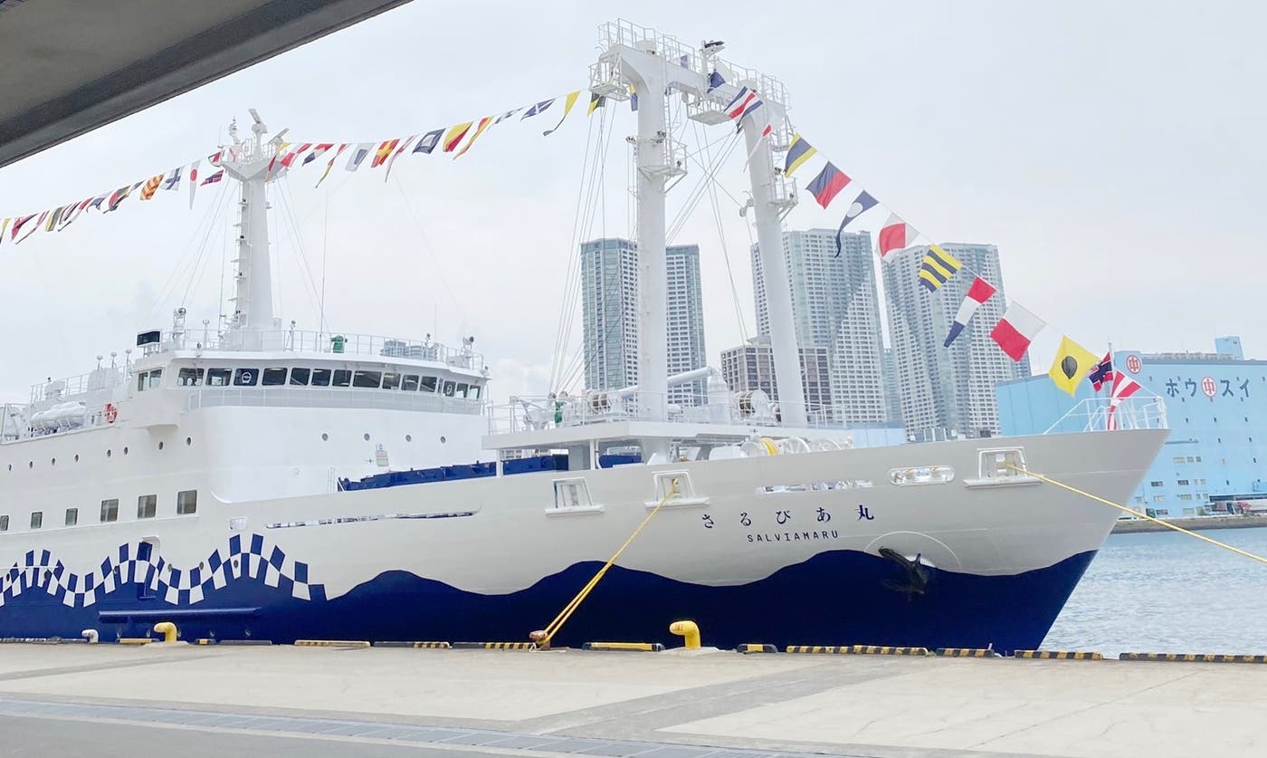 東海汽船さるびあ丸(提供写真)