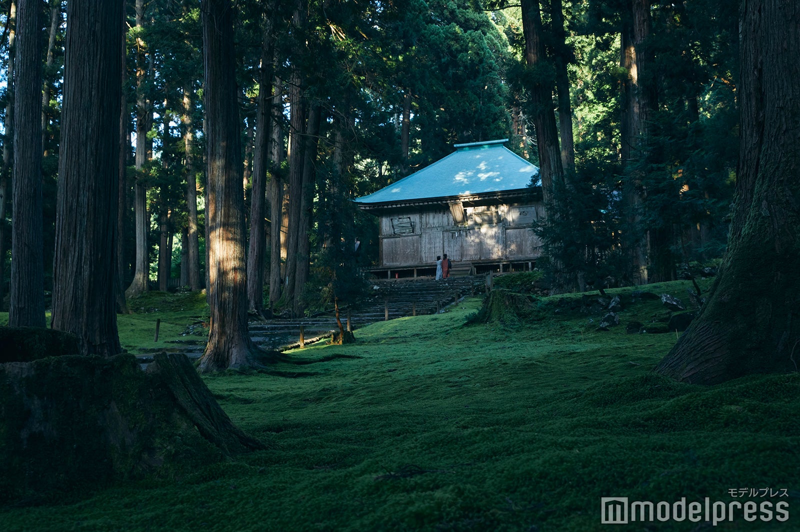 辺り一面緑のじゅうたん！まるで異世界に入り込んだよう。 （C）モデルプレス