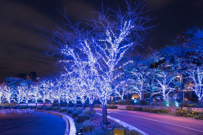 MIDTOWN CHRISTMAS 2019／画像提供：東京ミッドタウンマネジメント