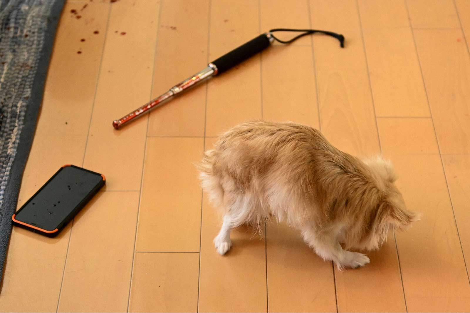 「天国と地獄 ～サイコな2人～」第7話より（C）TBS「天国と地獄 ～サイコな2人～」第7話より（C）TBS