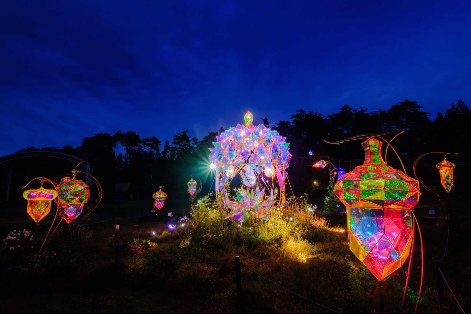 「童話村の森ライトアップ2023」（C）MIRRORBOWLERS