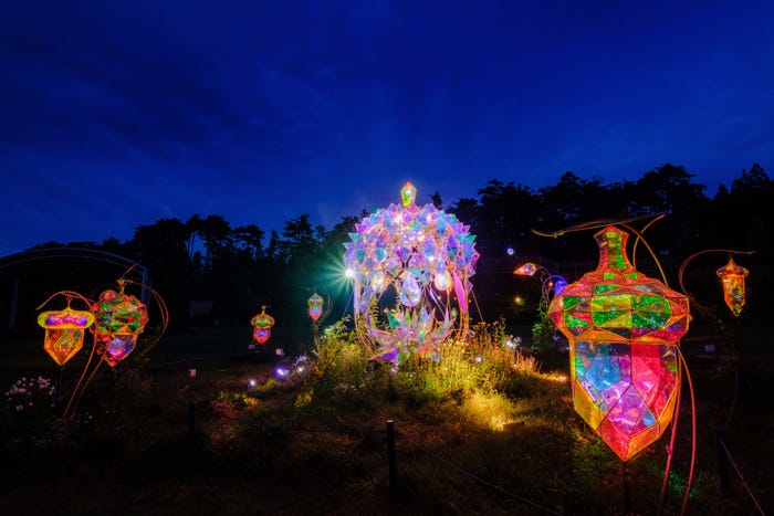 「童話村の森ライトアップ2023」(C)MIRRORBOWLERS