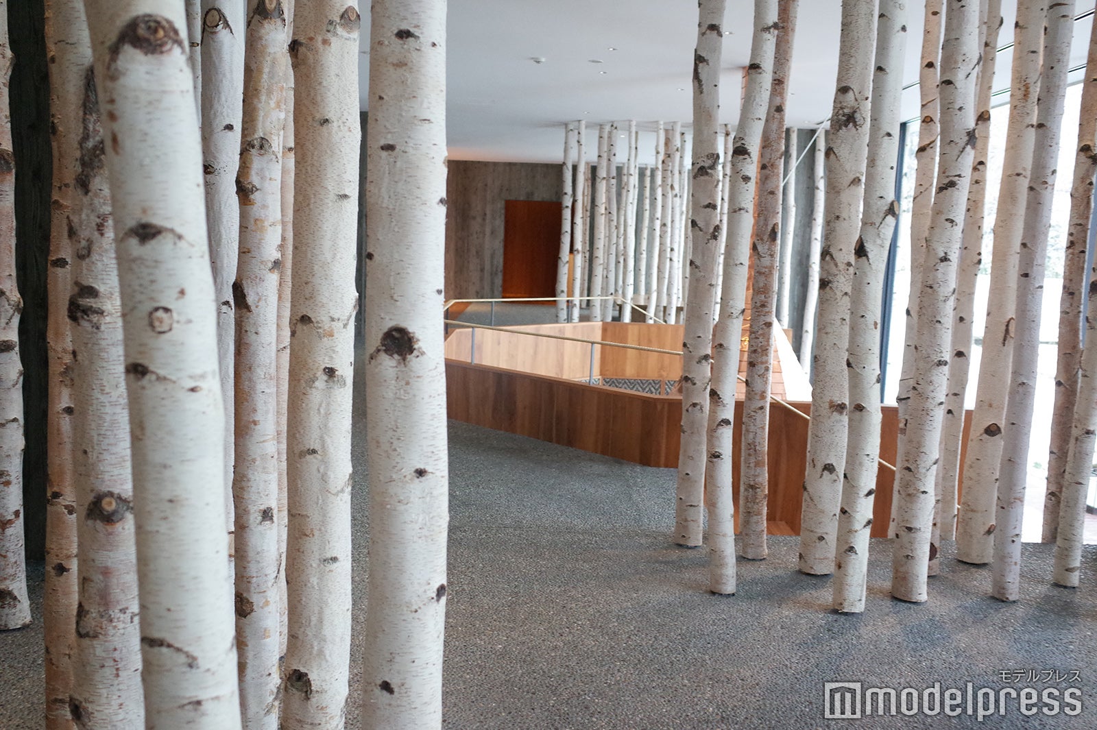 界 ポロト（C）モデルプレス