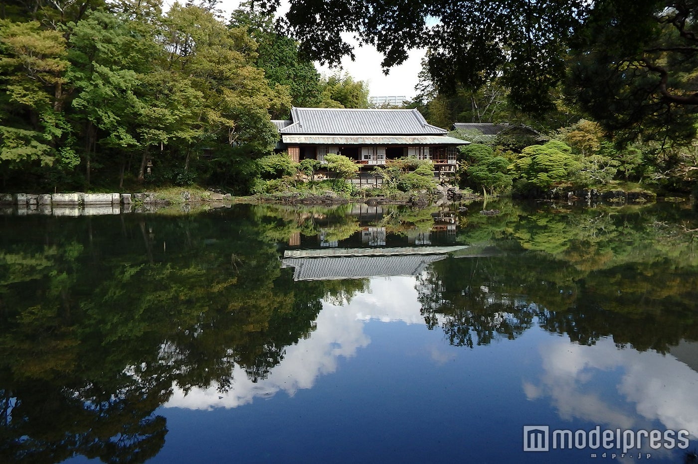 三島市立公園 楽寿園※満水時の小浜池／画像提供：フジコー