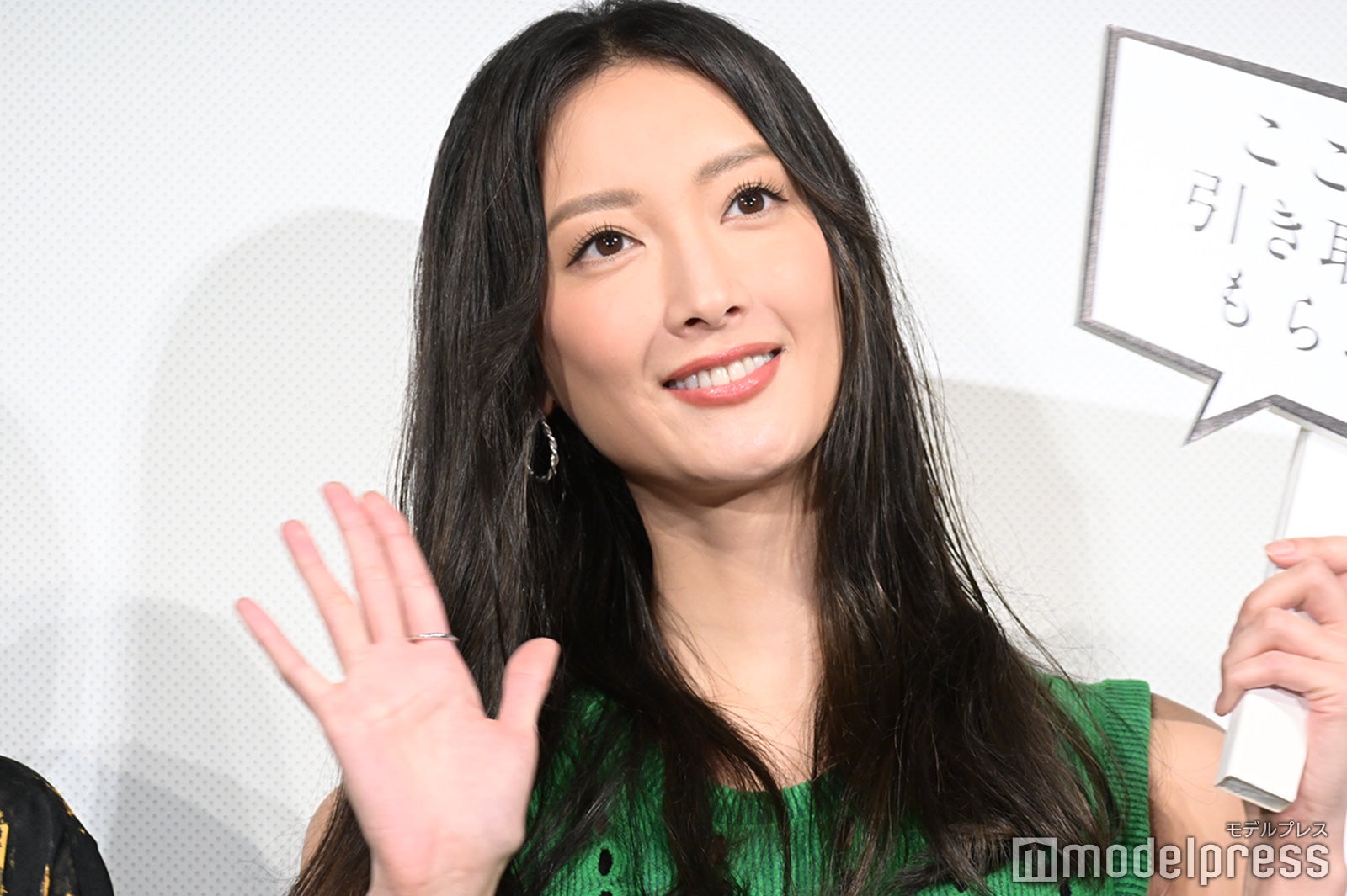 菜々緒 （C）モデルプレス