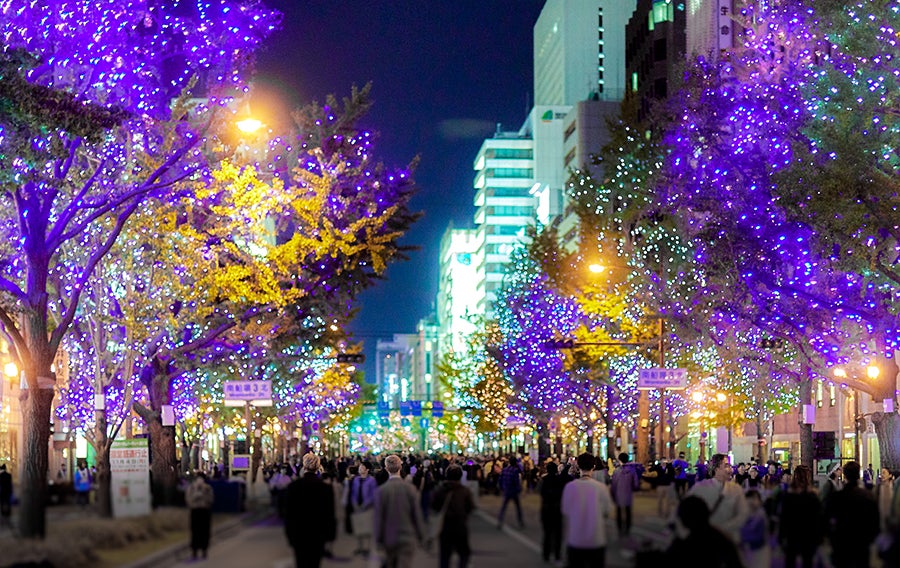 過去のイルミネーションの様子（C）大阪・光の饗宴実行委員会
