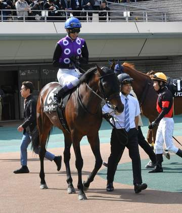国枝栄元調教師の“厩務員デビュー”は5着 鞍上・武豊でパドックからファンの熱気あふれる