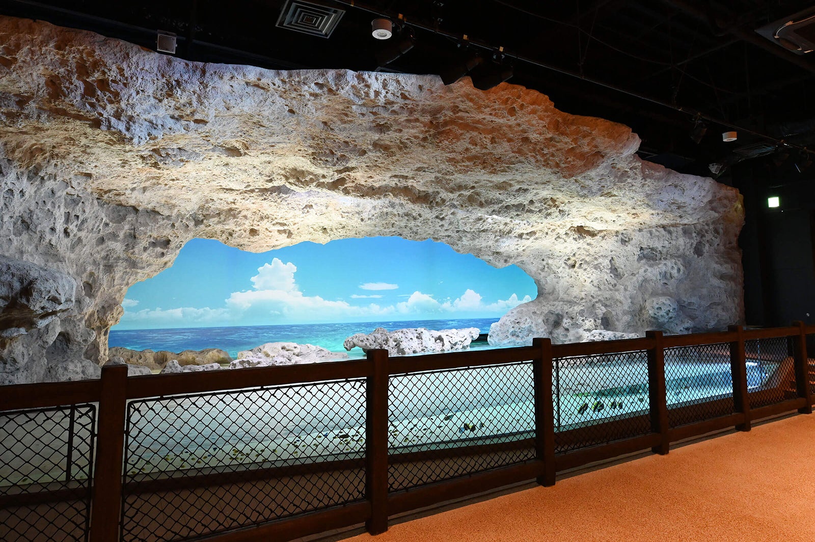 DMMかりゆし水族館（提供画像）