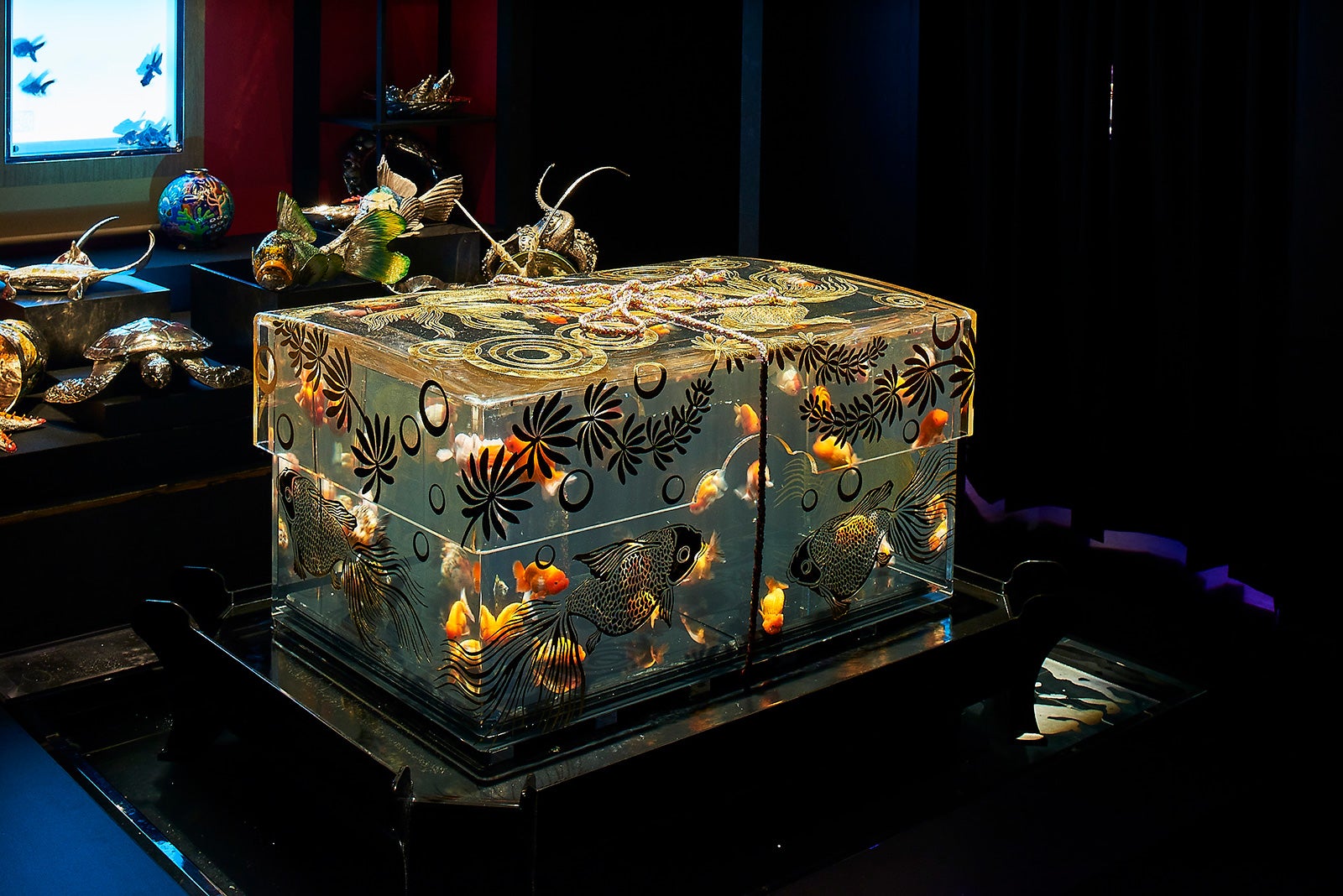 タマテリウム／画像提供：アートアクアリウム