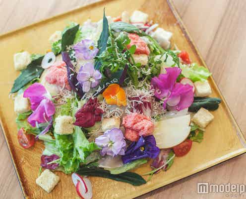 春爛漫!お皿に花咲くフラワーフードが虎ノ門ヒルズに集結