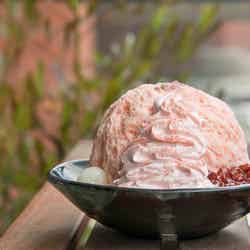 週末何する?次の休みに行くお出かけスポット9選vol.66/画像提供:TRANSIT GENERAL OFFICE