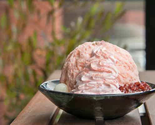 週末何する?次の休みに行くお出かけスポット9選vol.66