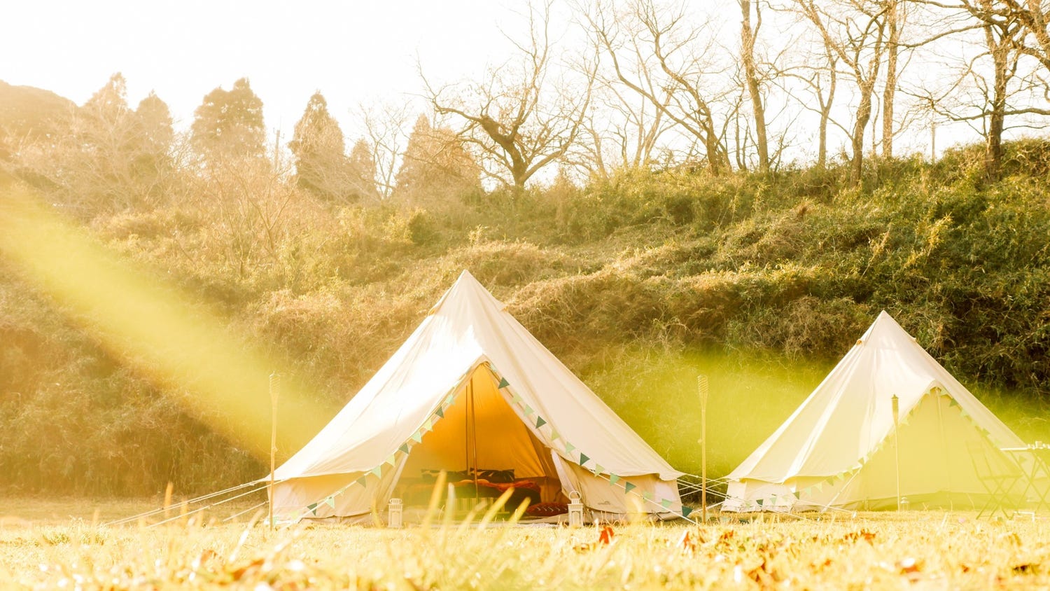 週末限定アウトドアホテル「The Caravan」が開業 モエ飲み放題&3食付きの贅沢ステイに驚き