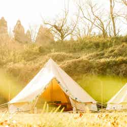 The Caravan(ザ・キャラバン)/画像提供:Wonder Wanderers