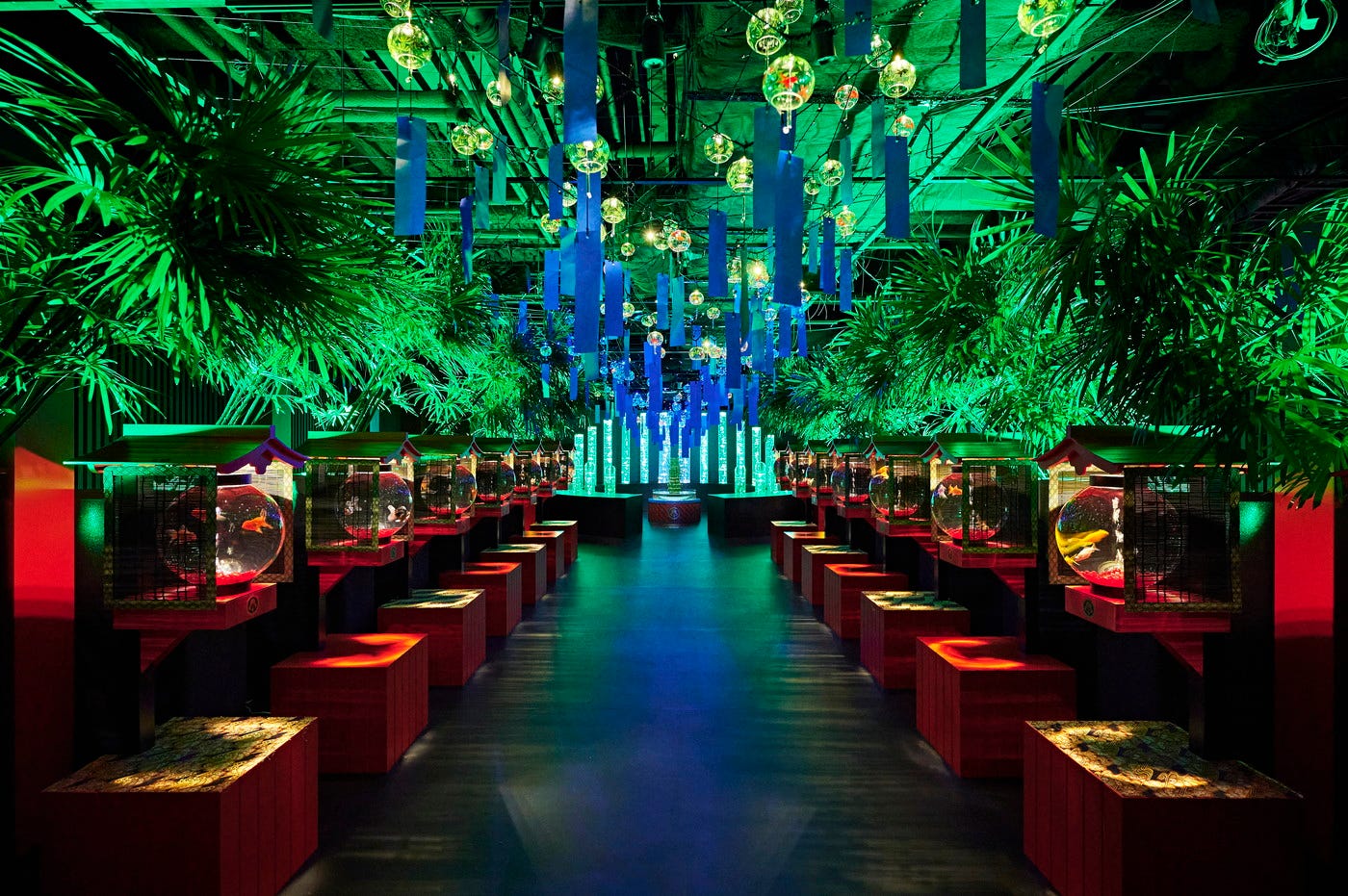 「アートアクアリウム美術館 GINZA」夏の風情を感じる新展示&新演出