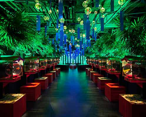 「アートアクアリウム美術館 GINZA」夏の風情を感じる新展示&新演出