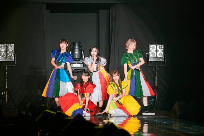 豆柴の大群(提供写真)