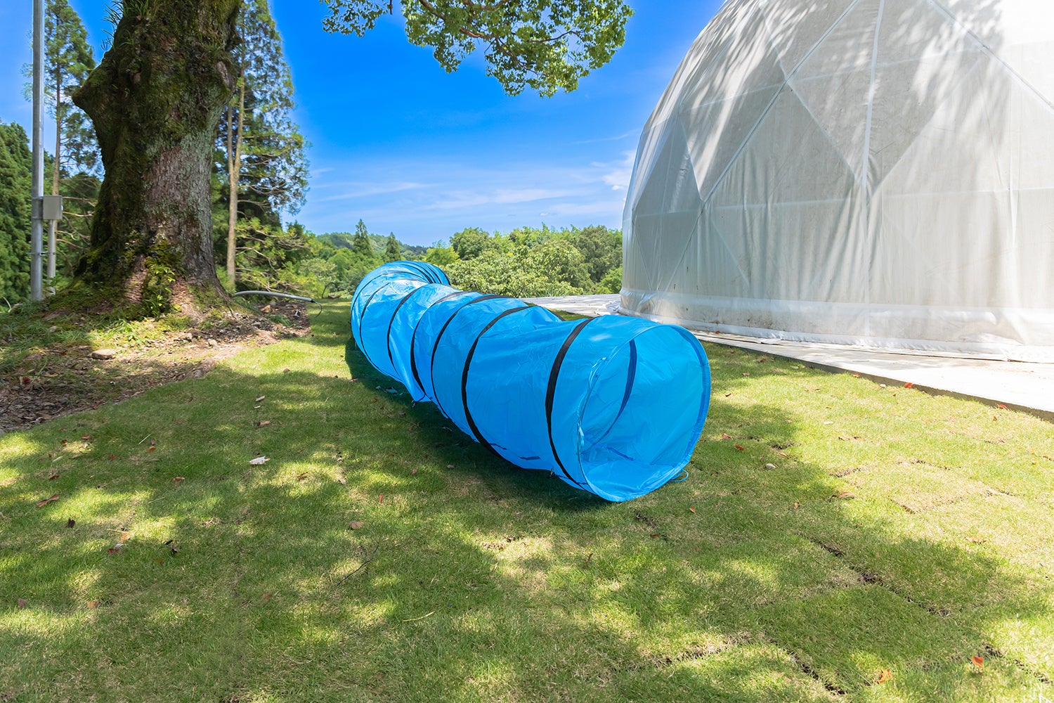 ほけだけグランピング～和泉の毬花～／提供画像