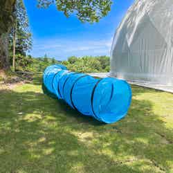 ほけだけグランピング~和泉の毬花~/提供画像