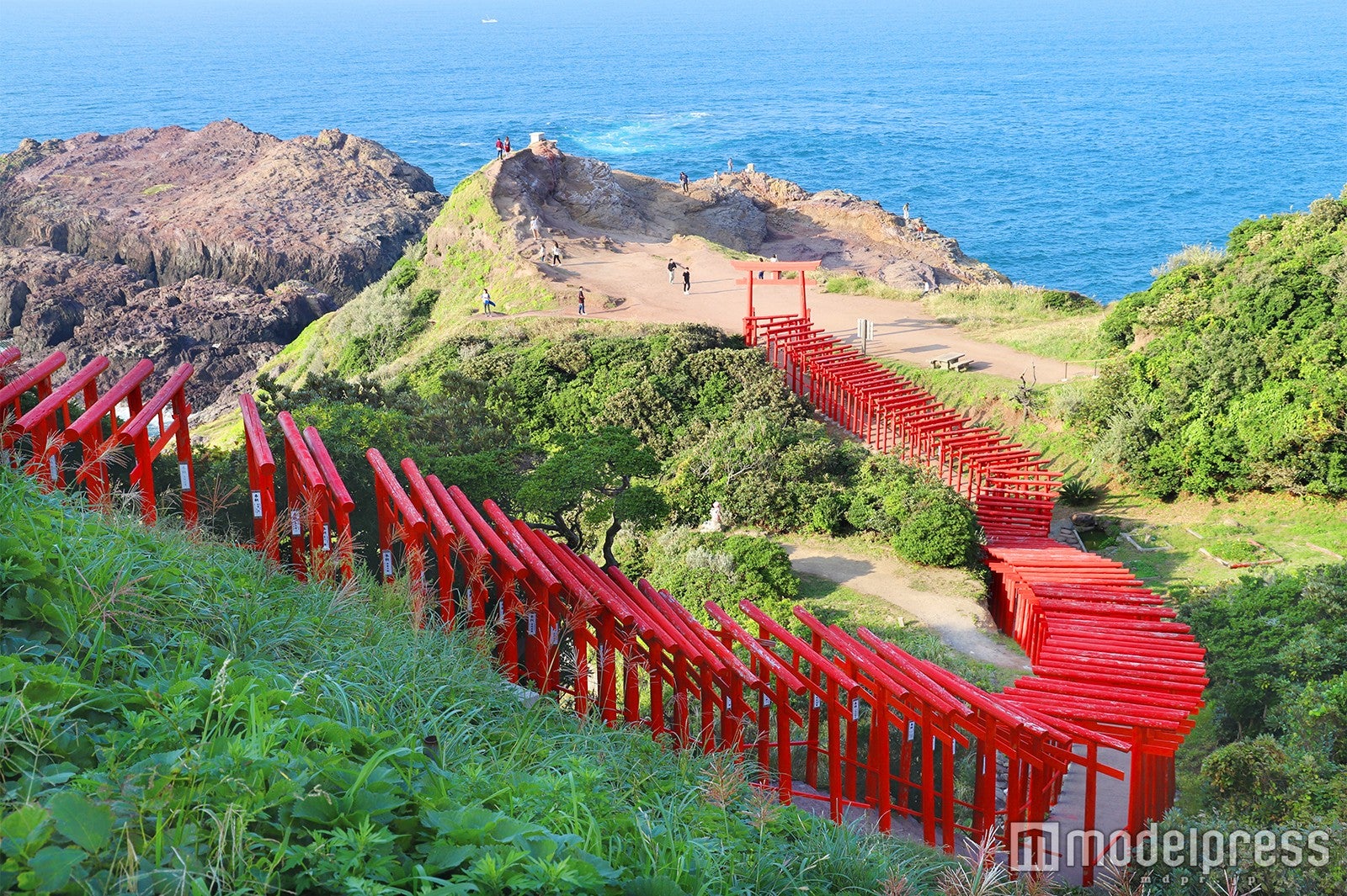 コバルトブルーの日本海と朱色の鳥居のコントラストはここならではの絶景（C）モデルプレス