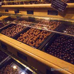 メゾン・ジョルジュ・ラルニコル(C)モデルプレス