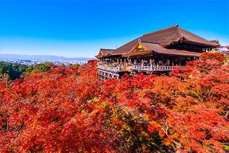 「京都府」