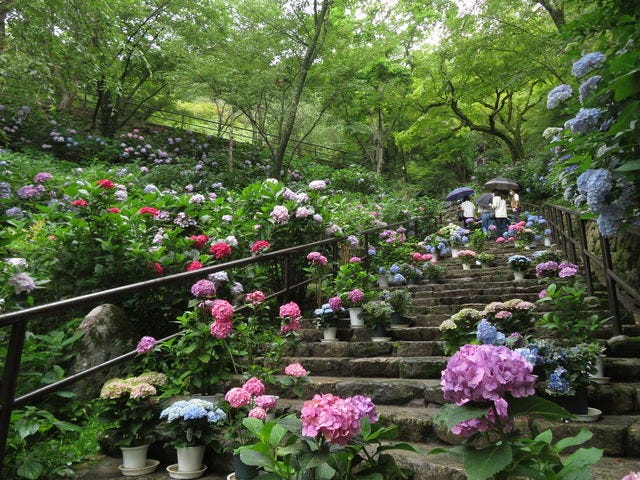 長谷寺