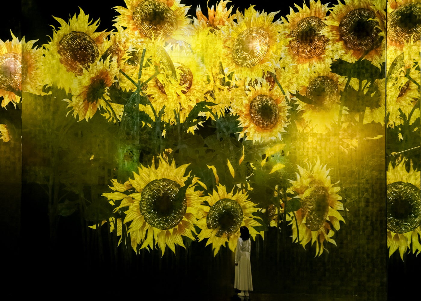 チームラボ バイオヴォルテックス 京都(C)チームラボ