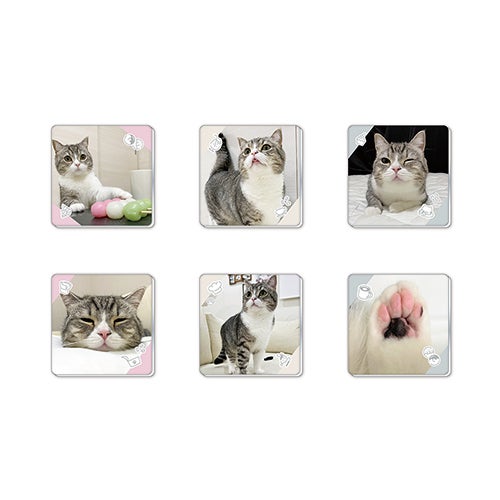 もちまるカフェ in SHIBUYA／提供画像