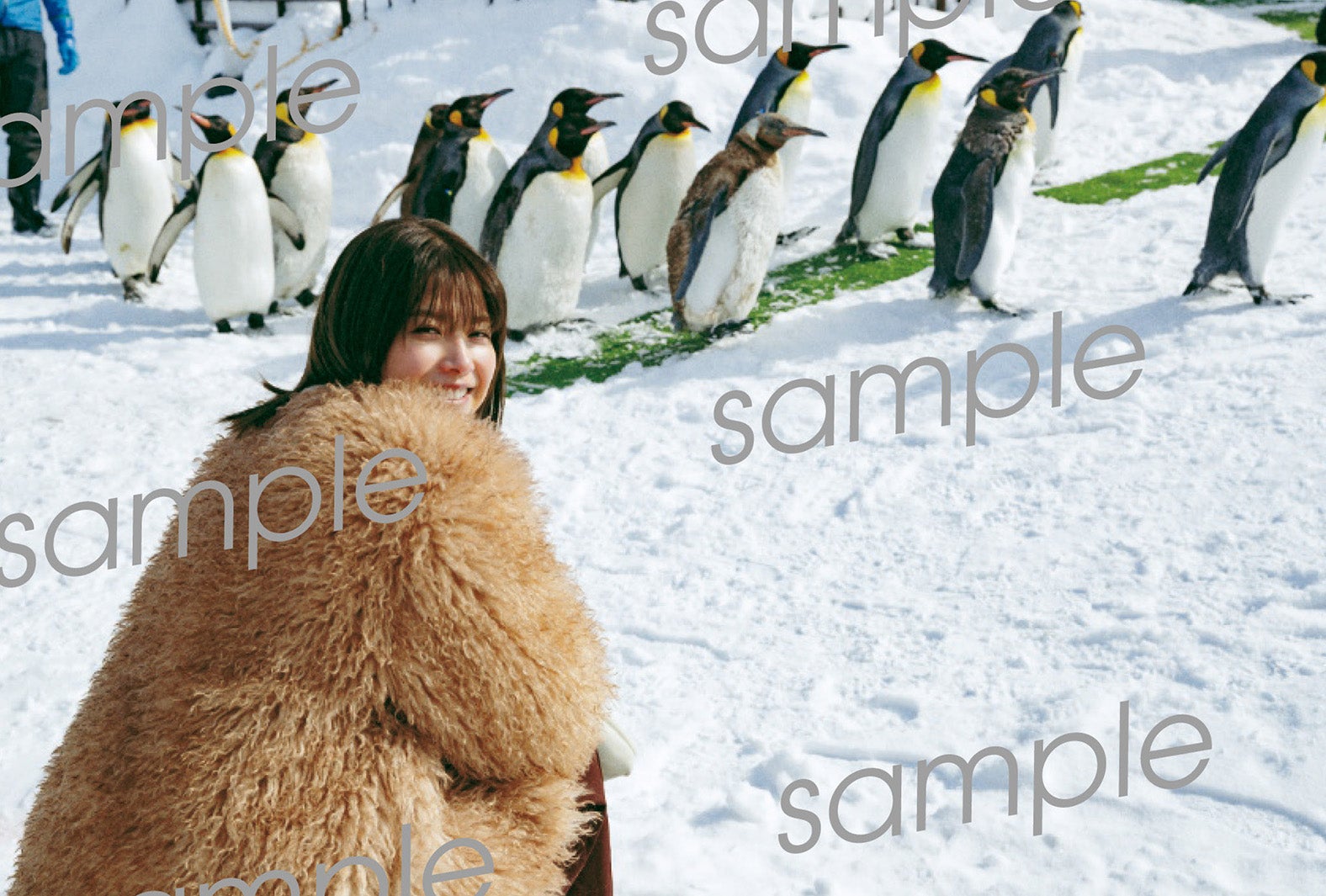 渡邉理佐 卒業メモリアルブック「抱きしめたくなる瞬間」HMV・Loppi限定ポストカード（C）柴田フミコ／集英社