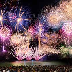 スペクタクルランタンナイトショー/提供画像