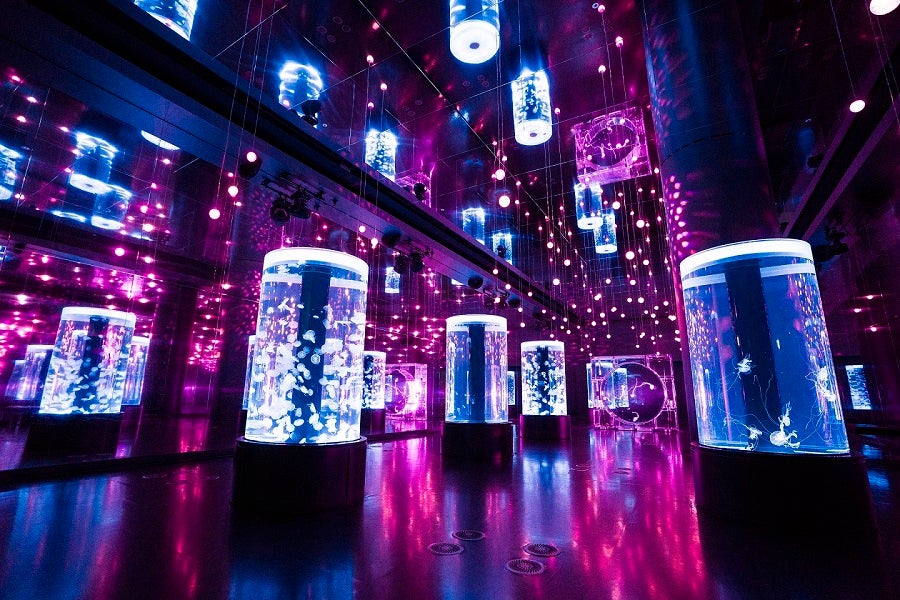 ネイキッドサクラ アクアリウム／画像提供：横浜八景島