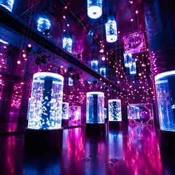 ネイキッドサクラ アクアリウム/画像提供:横浜八景島