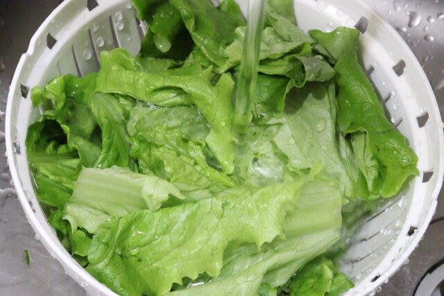 保存できる蓋付ザルボウル 野菜の洗浄 保存できる蓋付ザルボウル 野菜の洗浄