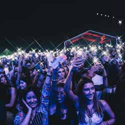 Creamfields(他国開催時の様子)/提供画像