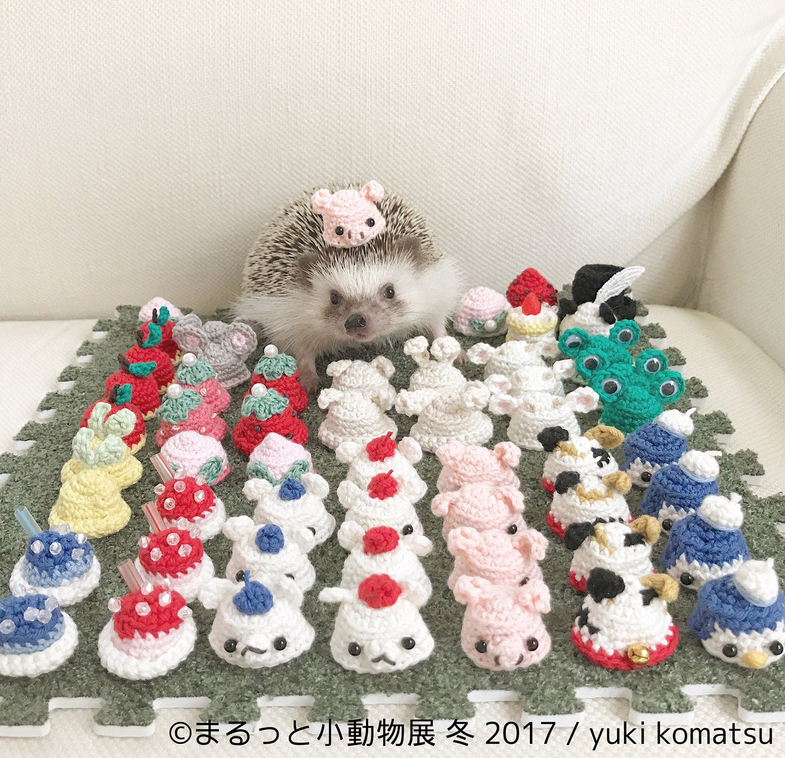 「まるっと小動物展 冬 2017」／画像提供：株式会社BACON