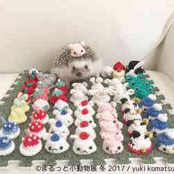 「まるっと小動物展 冬 2017」/画像提供:株式会社BACON
