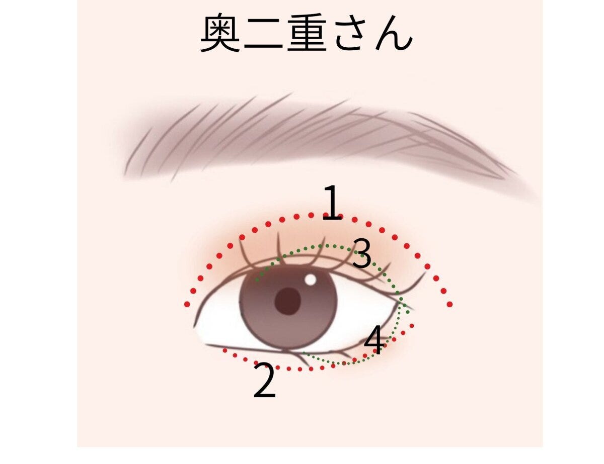 奥二重さんの中間色ブラウン2色で仕上げるアイメイクの塗る位置図解