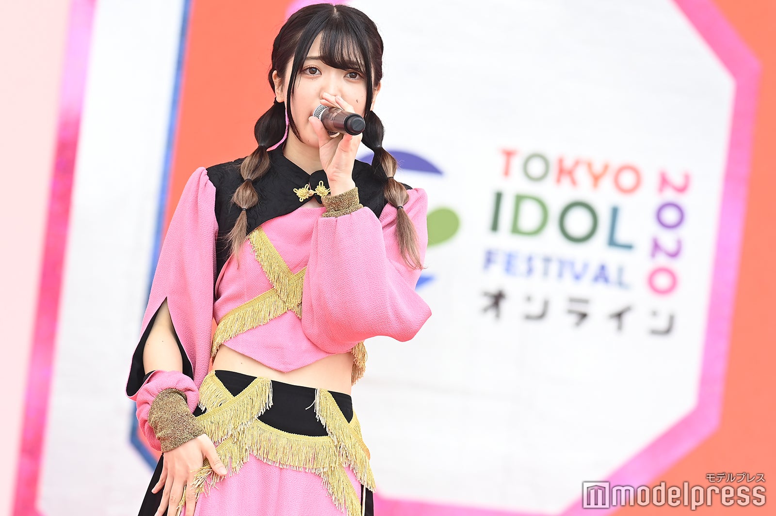 豆柴の大群（C）モデルプレス