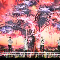 Forestella「2022 MAMA AWARDS」 （C）CJ ENM Co., Ltd, All Rights Reserved
