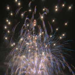 約12,000発もの花火が夜空を染める/画像提供:東京花火大祭制作委員会