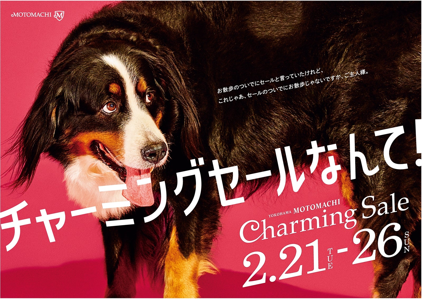 ユーモラスな犬のつぶやきが面白い（画像提供：元町SS会）