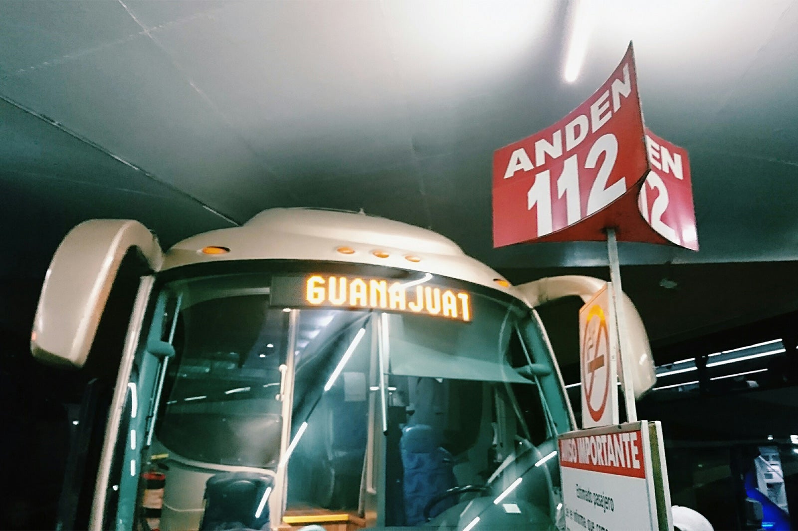 画像提供：所属事務所