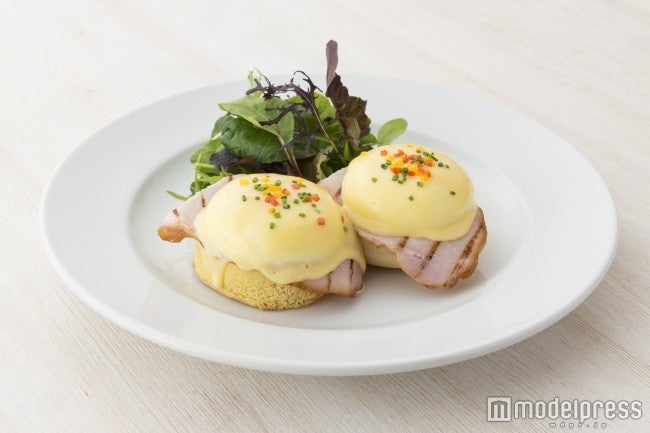 クラシック エッグベネディクト／画像提供：WDI JAPAN