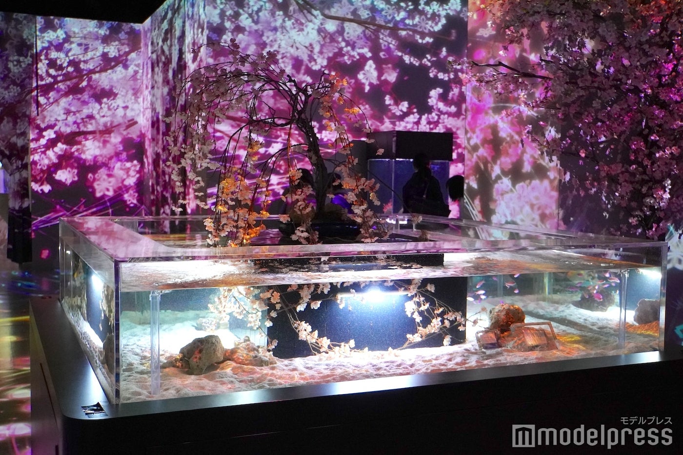 品川プリンスホテル（C）モデルプレス